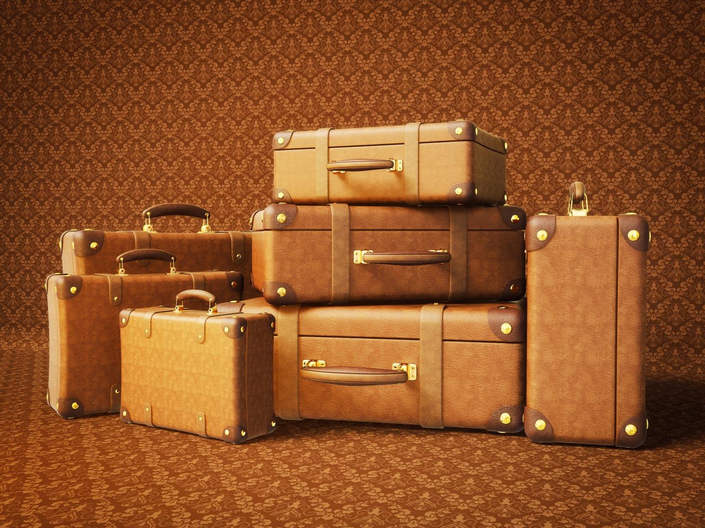 maroquinerie valise